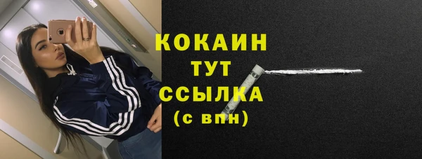 твердый Абаза