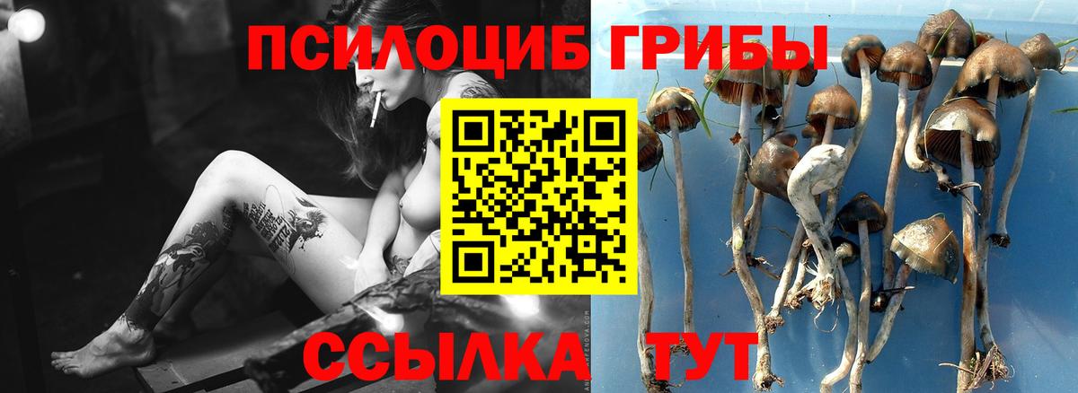 Галлюциногенные грибы Psilocybine cubensis  Псилоцибиновые грибы Magic Shrooms  Вход с VPN  Заринск 